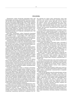 І. Л. Капылоў і інш. "Тлумачальны слоўнік беларускай літаратурнай мовы Т. 1. А—Н"
